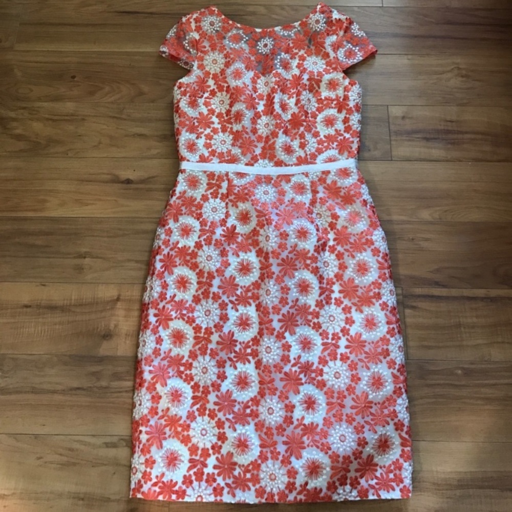 Beautiful Muse Embroidered Dress